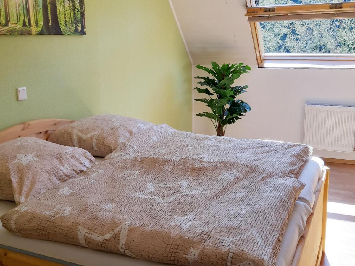 Ferienwohnung Ruhrort Брилон Екстериор снимка